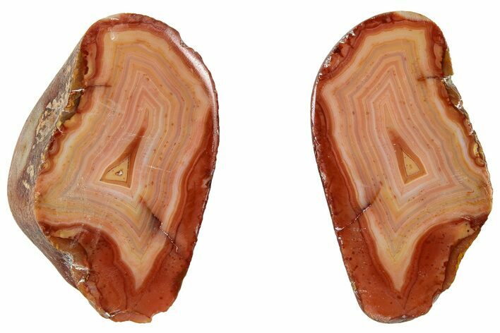 Polished, Banded Bahia Agate Nodule Pair - Brazil #314693